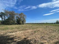 ขายที่ดินชลบุรี บ่อทอง 31ไร่ 92ตรว. ผังสีเหลือง เหมาะสำหรับทำฟาร์มเลี้ยงสัตว์ โรงงาน โกดังสินค้า-202512011709271764583767945.jpg