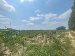 ขายที่ดินชลบุรี บ่อทอง 31ไร่ 92ตรว. ผังสีเหลือง เหมาะสำหรับทำฟาร์มเลี้ยงสัตว์ โรงงาน โกดังสินค้า-202512011709381764583778720.jpg