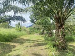 #List94001 ขายที่ดินสวยอำเภอทับใต้หัวหินจังหวัดประจวบฯ 24 ไร่ 1งาน 73 ตารางวา เหมาะทำโครงการบ้าน/รีสอร์ทได้