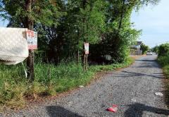 ขายที่ดิน ซอยมิตรไมตรี 14 ถนนมิตรไมตรี แขวงคู้ฝั่งเหนือ เขตหนองจอก กรุงเทพมหานคร-202512020853521764640432129.jpg