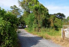 ขายที่ดิน ซอยมิตรไมตรี 14 ถนนมิตรไมตรี แขวงคู้ฝั่งเหนือ เขตหนองจอก กรุงเทพมหานคร-202512020853521764640432676.jpg