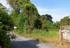 ขายที่ดิน ซอยมิตรไมตรี 14 ถนนมิตรไมตรี แขวงคู้ฝั่งเหนือ เขตหนองจอก กรุงเทพมหานคร-202512020853531764640433211.jpg