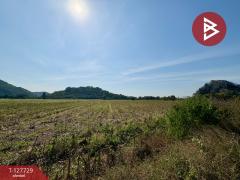 ขายที่ดินแปลงสวย เนื้อที่ 15 ไร่ 3 งาน 39.1 ตร.วา ตาคลี นครสวรรค์-202512020923201764642200946.jpg