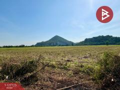 ขายที่ดินแปลงสวย เนื้อที่ 15 ไร่ 3 งาน 39.1 ตร.วา ตาคลี นครสวรรค์-202512020923221764642202743.jpg