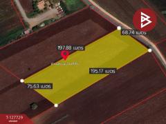 ขายที่ดินแปลงสวย เนื้อที่ 15 ไร่ 3 งาน 39.1 ตร.วา ตาคลี นครสวรรค์-202512020923231764642203936.jpg