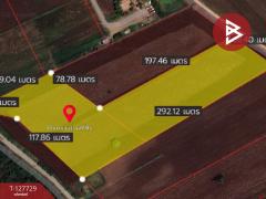 ขายที่ดินแปลงสวย เนื้อที่ 15 ไร่ 3 งาน 39.1 ตร.วา ตาคลี นครสวรรค์-202512020923241764642204567.jpg