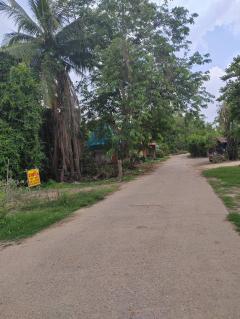 ขายที่ดินเปล่า ติดถนน ทำเลดี อำเภอโพทะเล​ จังหวัดพิจิตร​-202512021030141764646214853.jpg