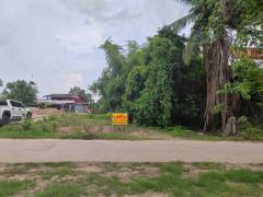 ขายที่ดินเปล่า ติดถนน ทำเลดี อำเภอโพทะเล​ จังหวัดพิจิตร​-202512021030151764646215454.jpg