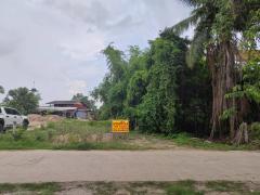 ขายที่ดินเปล่า ติดถนน ทำเลดี อำเภอโพทะเล​ จังหวัดพิจิตร​-202512021030161764646216085.jpg