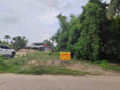 ขายที่ดินเปล่า ติดถนน ทำเลดี อำเภอโพทะเล​ จังหวัดพิจิตร​-202512021030161764646216676.jpg