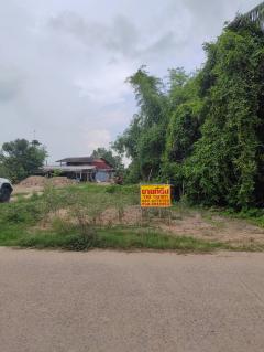 ขายที่ดินเปล่า ติดถนน ทำเลดี อำเภอโพทะเล​ จังหวัดพิจิตร​-202512021030171764646217274.jpg