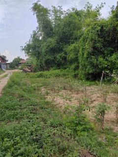 ขายที่ดินเปล่า ติดถนน ทำเลดี อำเภอโพทะเล​ จังหวัดพิจิตร​-202512021030171764646217876.jpg