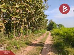 ขายที่ดินพร้อมสวน เนื้อที่ 30 ไร่ 3 งาน 86 ตร.วา หล่มสัก เพชรบูรณ์