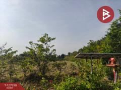 ขายที่ดินพร้อมสวน เนื้อที่ 30 ไร่ 3 งาน 86 ตร.วา หล่มสัก เพชรบูรณ์-202512021038561764646736052.jpg