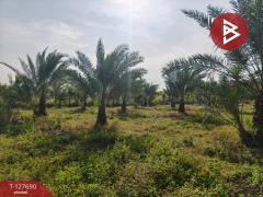 ขายที่ดินพร้อมสวน เนื้อที่ 30 ไร่ 3 งาน 86 ตร.วา หล่มสัก เพชรบูรณ์-202512021038561764646736624.jpg