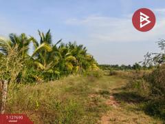 ขายที่ดินพร้อมสวน เนื้อที่ 30 ไร่ 3 งาน 86 ตร.วา หล่มสัก เพชรบูรณ์-202512021038571764646737219.jpg