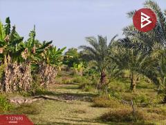 ขายที่ดินพร้อมสวน เนื้อที่ 30 ไร่ 3 งาน 86 ตร.วา หล่มสัก เพชรบูรณ์-202512021038581764646738438.jpg