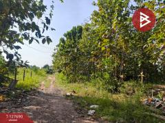 ขายที่ดินพร้อมสวน เนื้อที่ 30 ไร่ 3 งาน 86 ตร.วา หล่มสัก เพชรบูรณ์-202512021038591764646739033.jpg