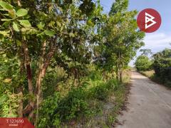 ขายที่ดินพร้อมสวน เนื้อที่ 30 ไร่ 3 งาน 86 ตร.วา หล่มสัก เพชรบูรณ์-202512021039001764646740423.jpg