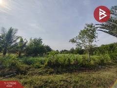 ขายที่ดินพร้อมสวน เนื้อที่ 30 ไร่ 3 งาน 86 ตร.วา หล่มสัก เพชรบูรณ์-202512021039011764646741009.jpg