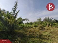 ขายที่ดินพร้อมสวน เนื้อที่ 30 ไร่ 3 งาน 86 ตร.วา หล่มสัก เพชรบูรณ์-202512021039011764646741624.jpg