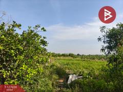 ขายที่ดินพร้อมสวน เนื้อที่ 30 ไร่ 3 งาน 86 ตร.วา หล่มสัก เพชรบูรณ์-202512021039021764646742199.jpg