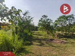 ขายที่ดินพร้อมสวน เนื้อที่ 30 ไร่ 3 งาน 86 ตร.วา หล่มสัก เพชรบูรณ์-202512021039021764646742799.jpg