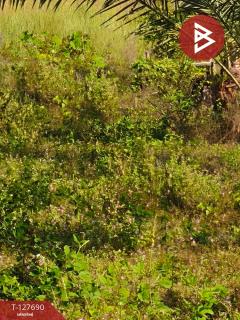 ขายที่ดินพร้อมสวน เนื้อที่ 30 ไร่ 3 งาน 86 ตร.วา หล่มสัก เพชรบูรณ์-202512021039031764646743390.jpg