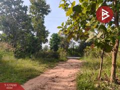 ขายที่ดินพร้อมสวน เนื้อที่ 30 ไร่ 3 งาน 86 ตร.วา หล่มสัก เพชรบูรณ์-202512021039031764646743976.jpg