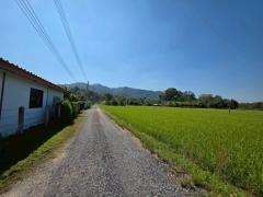 ขายที่ดินเปล่า ใกล้อ่างเก็บน้ําห้วยปรือ เขาพระ นครนายก-202512021042341764646954834.jpg