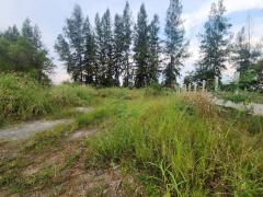 ขาย / เช่า ที่ดิน 124 ตรว. ซอยคลองสาม 9/5 ติดวัดพระธรรมกาย (ประตู 11) คลองสอง ปทุมธานี ทำเลทอง ติดสถานที่ศักดิ์สิทธิ์