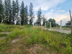 ขาย / เช่า ที่ดิน 124 ตรว. ซอยคลองสาม 9/5 ติดวัดพระธรรมกาย (ประตู 11) คลองสอง ปทุมธานี ทำเลทอง ติดสถานที่ศักดิ์สิทธิ์-202512021052141764647534401.jpg