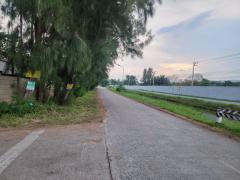 ขาย / เช่า ที่ดิน 124 ตรว. ซอยคลองสาม 9/5 ติดวัดพระธรรมกาย (ประตู 11) คลองสอง ปทุมธานี ทำเลทอง ติดสถานที่ศักดิ์สิทธิ์-202512021052141764647534995.jpg