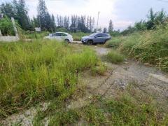 ขาย / เช่า ที่ดิน 124 ตรว. ซอยคลองสาม 9/5 ติดวัดพระธรรมกาย (ประตู 11) คลองสอง ปทุมธานี ทำเลทอง ติดสถานที่ศักดิ์สิทธิ์-202512021052161764647536706.jpg