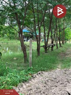 ขายที่ดิน เนื้อที่ 2 ไร่ พานทอง ชลบุรี-202512021236441764653804734.jpg