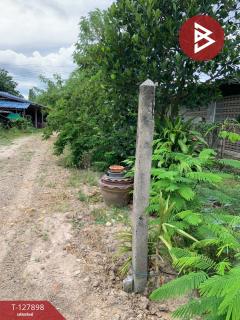 ขายที่ดิน เนื้อที่ 2 ไร่ พานทอง ชลบุรี-202512021236451764653805352.jpg