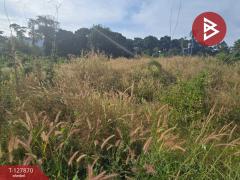 ขายที่ดินเปล่า 2 ไร่ 37 ตารางวา ต.เขาบายศรี อ.ท่าใหม่ จันทบุรี ราคาถูก