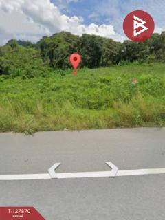 ขายที่ดินเปล่า 2 ไร่ 37 ตารางวา ต.เขาบายศรี อ.ท่าใหม่ จันทบุรี ราคาถูก-202512021256081764654968337.jpg