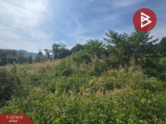 ขายที่ดินเปล่า 2 ไร่ 37 ตารางวา ต.เขาบายศรี อ.ท่าใหม่ จันทบุรี ราคาถูก-202512021256121764654972536.jpg