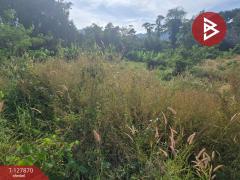 ขายที่ดินเปล่า 2 ไร่ 37 ตารางวา ต.เขาบายศรี อ.ท่าใหม่ จันทบุรี ราคาถูก-202512021256131764654973113.jpg