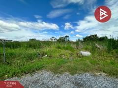 ขายที่ดินเปล่า เนื้อที่ 72 ตร.วา หนองจอก กรุงเทพมหานคร-202512021317241764656244064.jpg