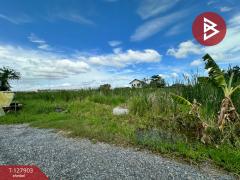 ขายที่ดินเปล่า เนื้อที่ 72 ตร.วา หนองจอก กรุงเทพมหานคร-202512021317241764656244652.jpg