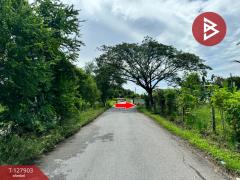 ขายที่ดินเปล่า เนื้อที่ 72 ตร.วา หนองจอก กรุงเทพมหานคร-202512021317261764656246067.jpg