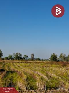 ขายที่ดิน เนื้อที่ 9 ไร่ 1 งาน 73 ตร.วา เทิง เชียงราย