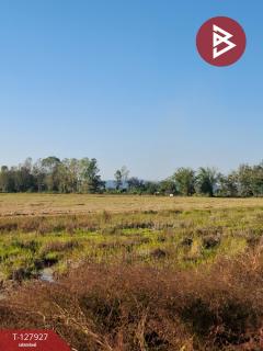 ขายที่ดิน เนื้อที่ 9 ไร่ 1 งาน 73 ตร.วา เทิง เชียงราย-202512021349101764658150515.jpg