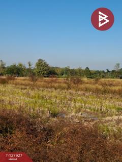 ขายที่ดิน เนื้อที่ 9 ไร่ 1 งาน 73 ตร.วา เทิง เชียงราย-202512021349111764658151387.jpg