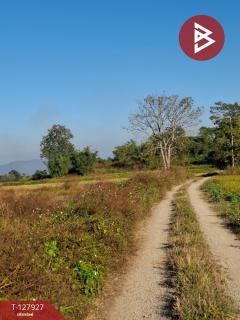 ขายที่ดิน เนื้อที่ 9 ไร่ 1 งาน 73 ตร.วา เทิง เชียงราย-202512021349121764658152623.jpg