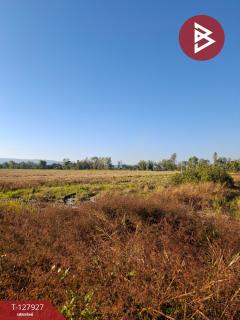 ขายที่ดิน เนื้อที่ 9 ไร่ 1 งาน 73 ตร.วา เทิง เชียงราย-202512021349131764658153316.jpg