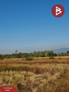 ขายที่ดิน เนื้อที่ 9 ไร่ 1 งาน 73 ตร.วา เทิง เชียงราย-202512021349131764658153887.jpg