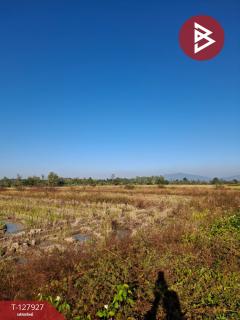 ขายที่ดิน เนื้อที่ 9 ไร่ 1 งาน 73 ตร.วา เทิง เชียงราย-202512021349141764658154491.jpg